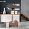 mlm dallas 101