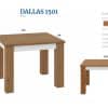 mlm dallas 1501