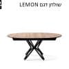 LEMON 27