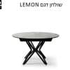 LEMON 39