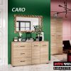 CARO 0003