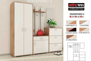 ארון-כניסה-PRZEDPOKOJ-3